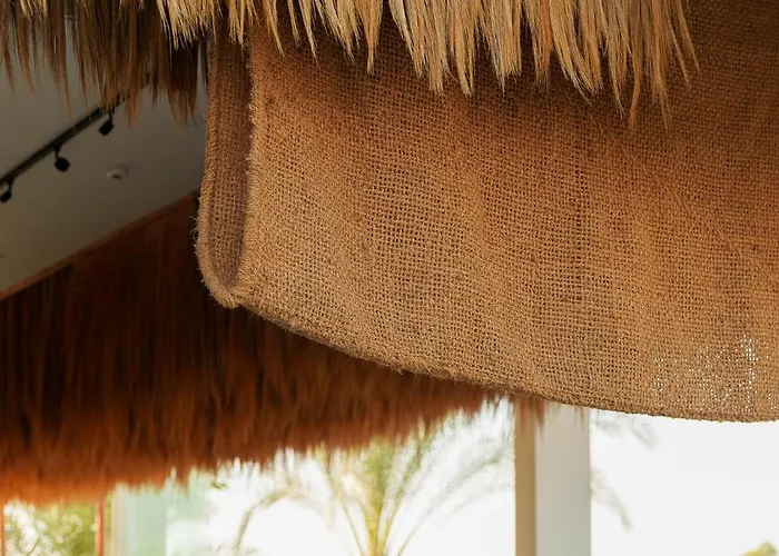 Cavo Zoe Seaside 4* Protaras